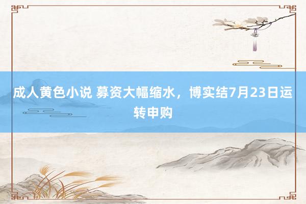 成人黄色小说 募资大幅缩水，博实结7月23日运转申购