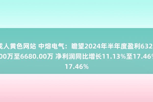 成人黄色网站 中熔电气：瞻望2024年半年度盈利6320.00万至6680.00万 净利润同比增长11.13%至17.46%