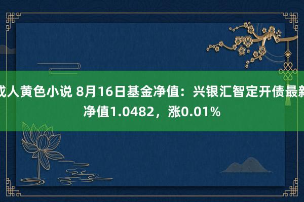 成人黄色小说 8月16日基金净值：兴银汇智定开债最新净值1.0482，涨0.01%