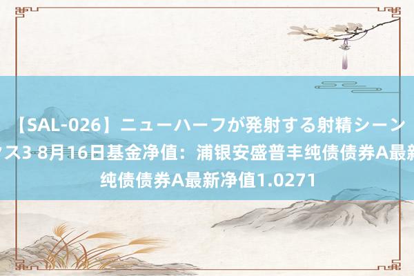 【SAL-026】ニューハーフが発射する射精シーンがあるセックス3 8月16日基金净值：浦银安盛普丰纯债债券A最新净值1.0271