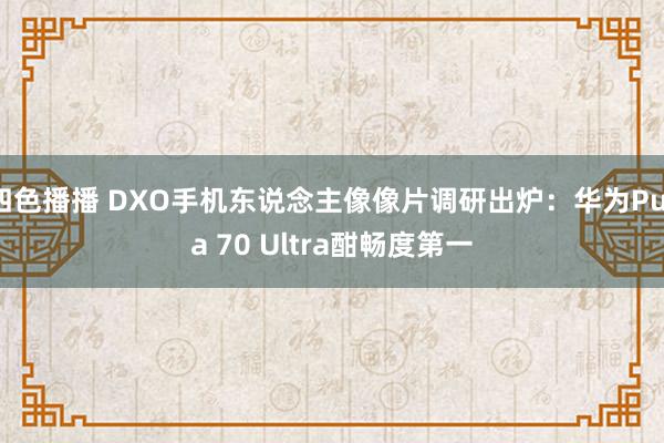 四色播播 DXO手机东说念主像像片调研出炉：华为Pura 70 Ultra酣畅度第一