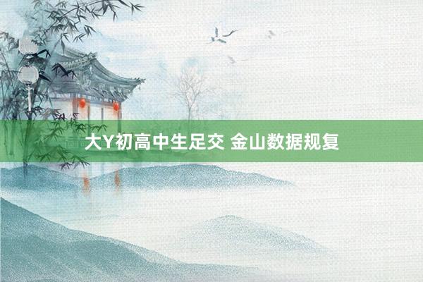 大Y初高中生足交 金山数据规复