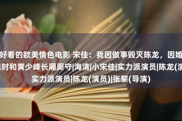 好看的欧美情色电影 宋佳：我因做事毁灭陈龙，因婚配毁灭张黎，现时和黄少峰长厢厮守|海清|小宋佳|实力派演员|陈龙(演员)|张黎(导演)