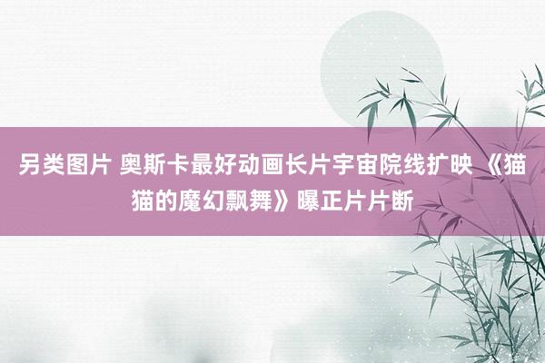 另类图片 奥斯卡最好动画长片宇宙院线扩映 《猫猫的魔幻飘舞》曝正片片断