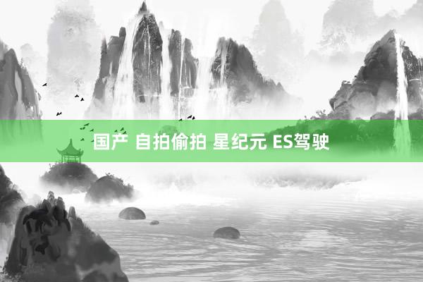 国产 自拍偷拍 星纪元 ES驾驶
