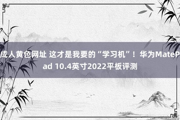 成人黄色网址 这才是我要的“学习机”！华为MatePad 10.4英寸2022平板评测