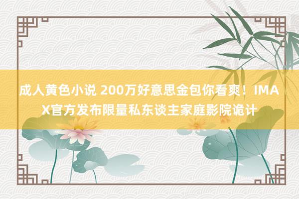 成人黄色小说 200万好意思金包你看爽！IMAX官方发布限量私东谈主家庭影院诡计