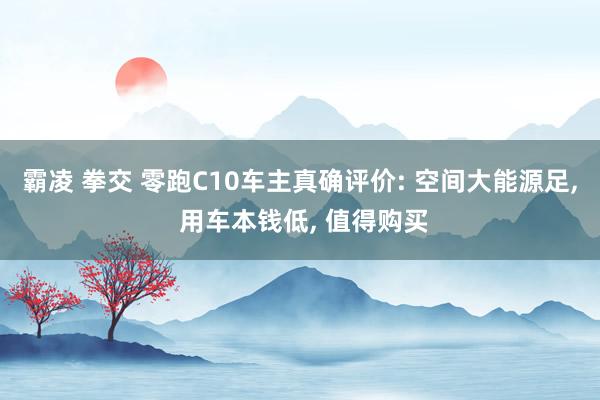 霸凌 拳交 零跑C10车主真确评价: 空间大能源足， 用车本钱低， 值得购买