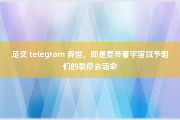 足交 telegram 辞世，即是要带着宇宙赋予咱们的裂痕去活命