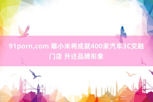 91porn，com 曝小米将成就400家汽车3C交融门店 升迁品牌形象