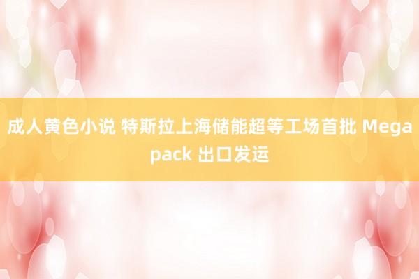 成人黄色小说 特斯拉上海储能超等工场首批 Megapack 出口发运